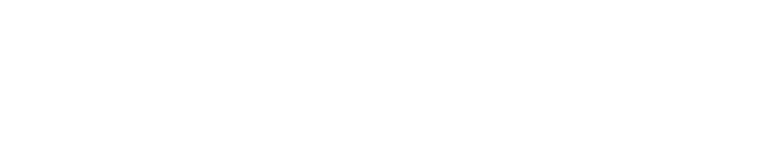 Experience and Skill